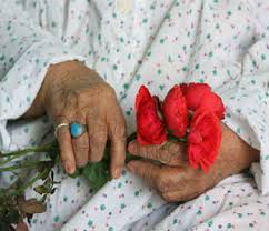 نیکی به والدین